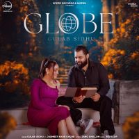 Globe cover