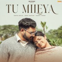 Tu Mileya cover