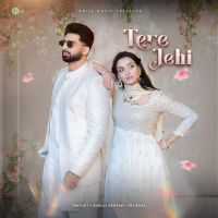 Tere Jehi cover