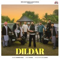 Dildar cover