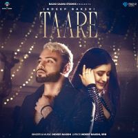 Taare cover