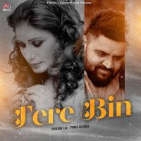 Tere Bin cover