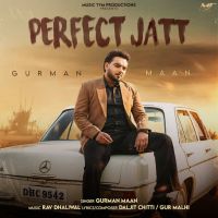 Perfect Jatt cover