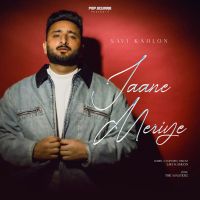 Jaane Meriye cover