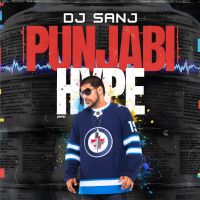 Punjabi Hype cover