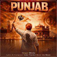 Punjab cover