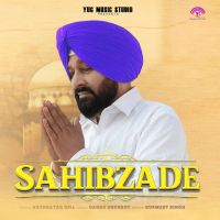 Sahibzade cover