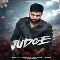 Judge cover