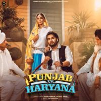 Punjab Vs Haryana cover