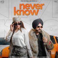 Never Know cover
