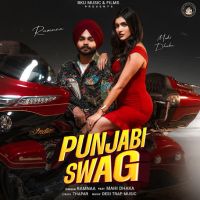 Punjabi Swag cover