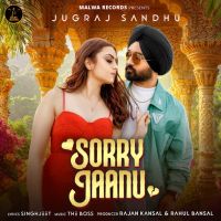 Sorry Jaanu cover