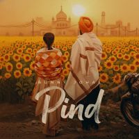 Pind cover