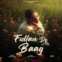 Fullan De Baag cover