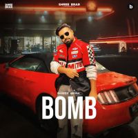 Bomb cover