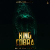 King Cobra cover