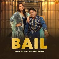 Bail cover