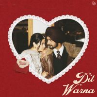 Dil Warna cover