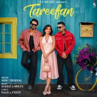 Tareefan cover
