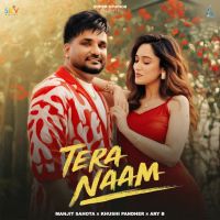 Tera Naam cover