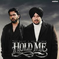 Hold Me cover