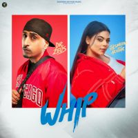 Whip cover