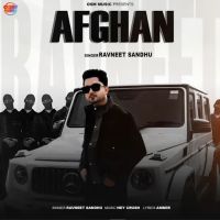 Afghan cover