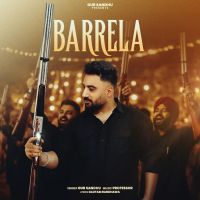 Barrela cover