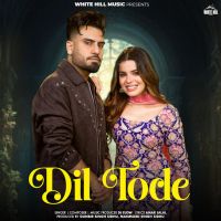 Dil Tode cover