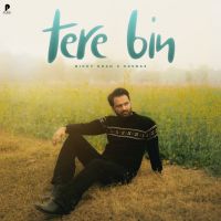 Tere Bin cover