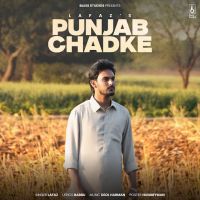 Punjab Chadke cover