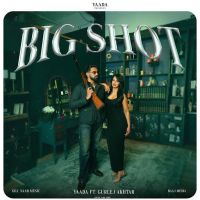 Big Shot cover