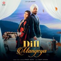 Dill Mangeya cover