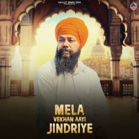Mela Vekhan Aayi Jindriye cover