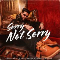 Sorry Not Sorry! cover