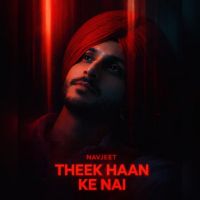 Theek Haan Ke Nai cover