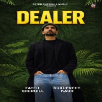 Dealer cover