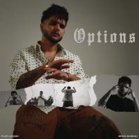 Options cover