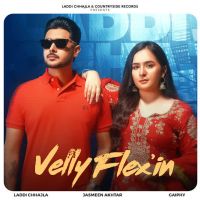 Velly Flex-in cover