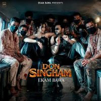 Don Singham cover