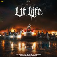 Lit Life cover