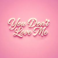 You Dont Love Me cover