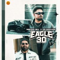 Eagle 30 cover