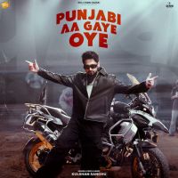 Punjabi Aa Gaye Oye cover