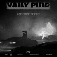 Vaily Pind cover
