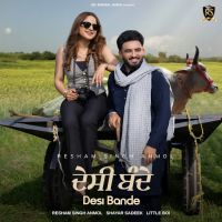 Desi Bande cover