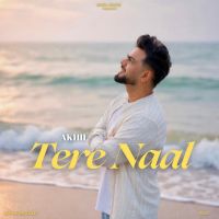 Tere Naal cover