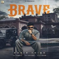 Brave cover