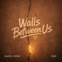 Walls Between Us cover