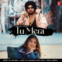 Tu Mera cover